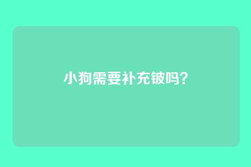 小狗需要补充铍吗？