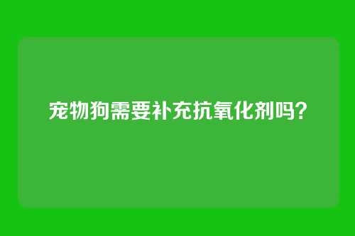 宠物狗需要补充抗氧化剂吗？