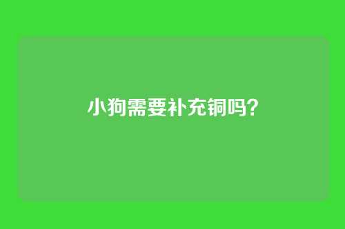 小狗需要补充铜吗？
