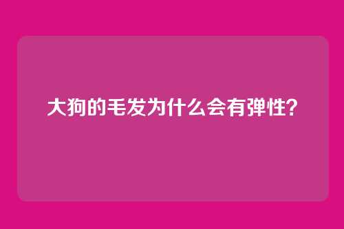 大狗的毛发为什么会有弹性？