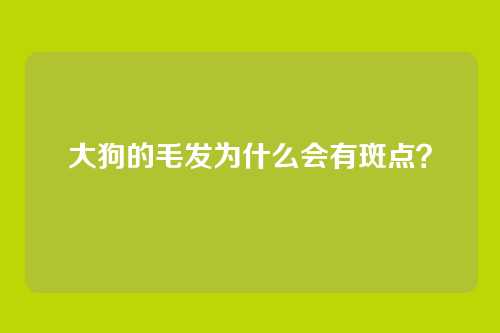 大狗的毛发为什么会有斑点？