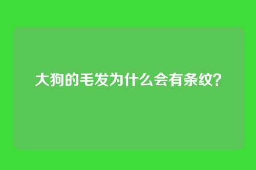 大狗的毛发为什么会有条纹？