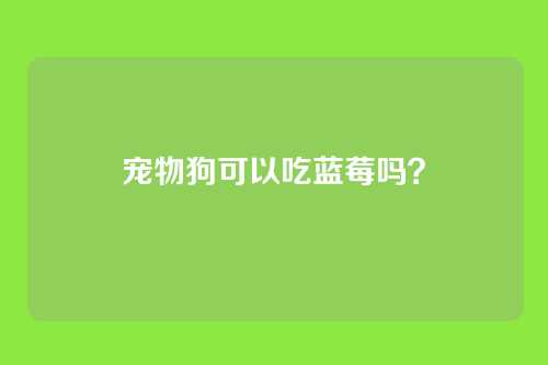 宠物狗可以吃蓝莓吗？