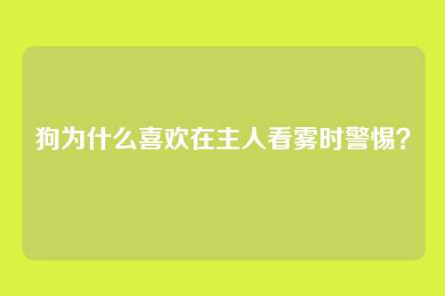 狗为什么喜欢在主人看雾时警惕？