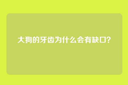 大狗的牙齿为什么会有缺口？