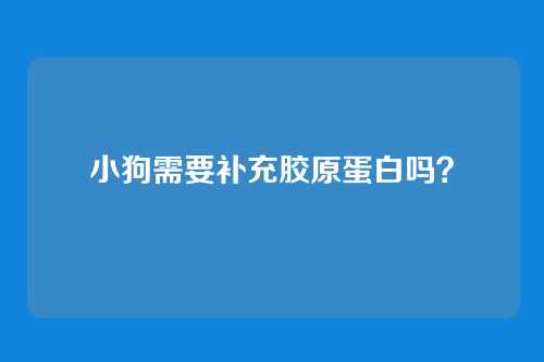 小狗需要补充胶原蛋白吗？