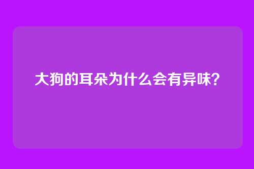大狗的耳朵为什么会有异味？