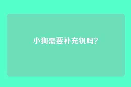 小狗需要补充钒吗？