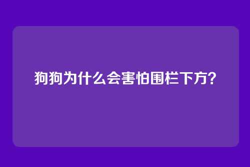 狗狗为什么会害怕围栏下方？