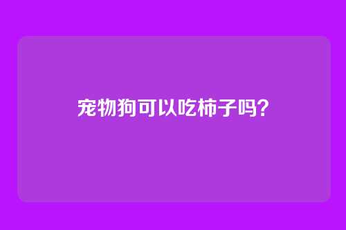 宠物狗可以吃柿子吗？