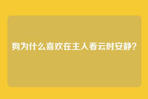 狗为什么喜欢在主人看云时安静？