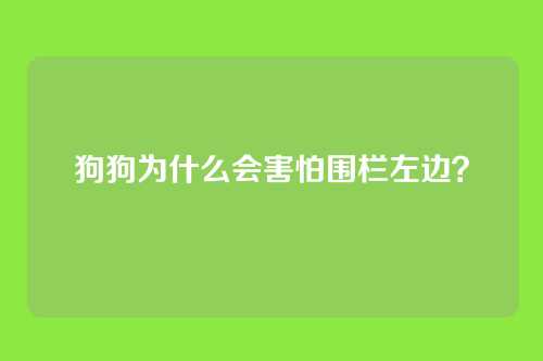 狗狗为什么会害怕围栏左边？