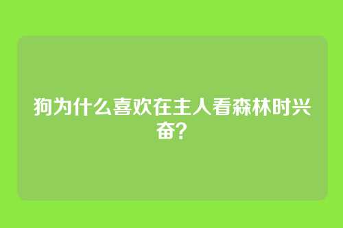 狗为什么喜欢在主人看森林时兴奋？