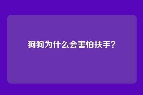 狗狗为什么会害怕扶手？