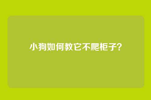 小狗如何教它不爬柜子？