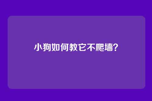 小狗如何教它不爬墙？