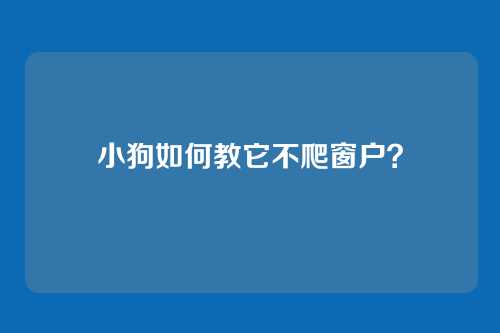 小狗如何教它不爬窗户？