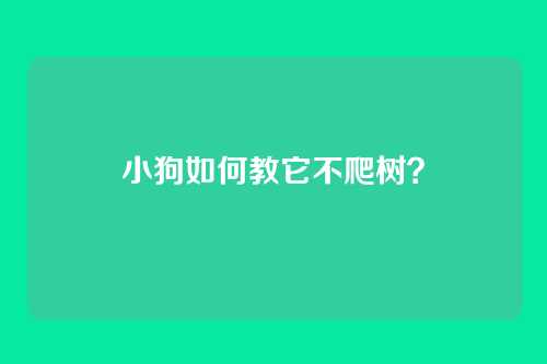 小狗如何教它不爬树？
