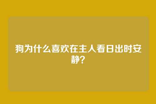 狗为什么喜欢在主人看日出时安静？