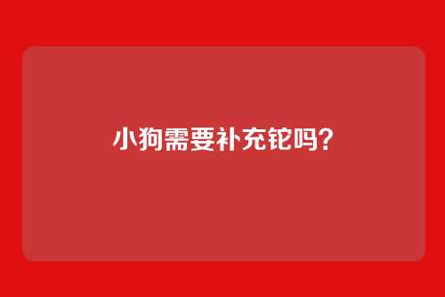 小狗需要补充铊吗？