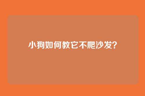 小狗如何教它不爬沙发？