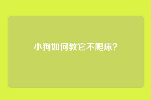 小狗如何教它不爬床？