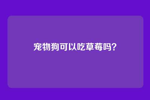 宠物狗可以吃草莓吗？