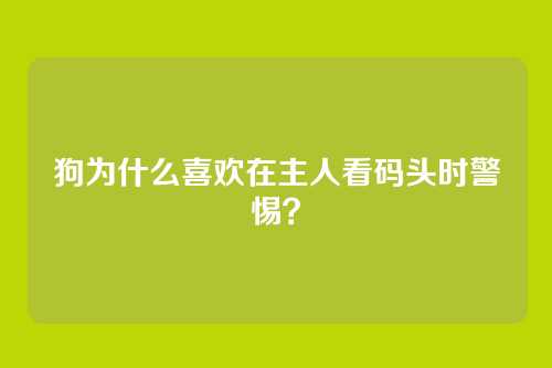 狗为什么喜欢在主人看码头时警惕？