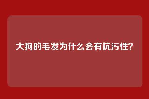 大狗的毛发为什么会有抗污性？