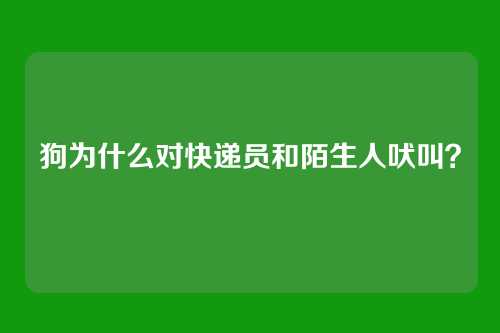 狗为什么对快递员和陌生人吠叫？