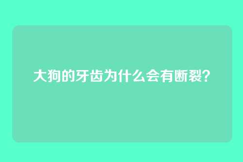 大狗的牙齿为什么会有断裂？