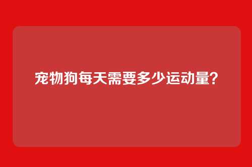 宠物狗每天需要多少运动量？