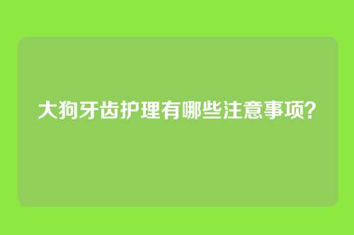 大狗牙齿护理有哪些注意事项？