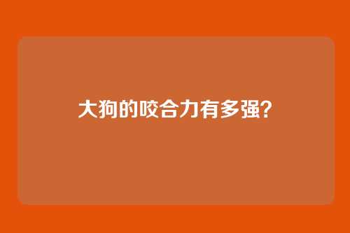 大狗的咬合力有多强？