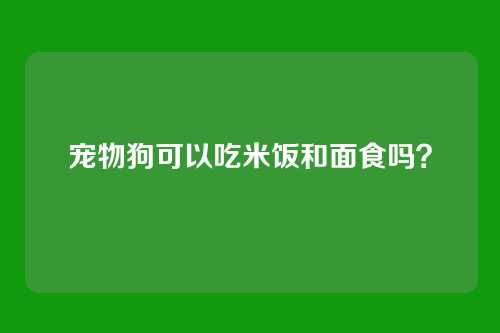 宠物狗可以吃米饭和面食吗？