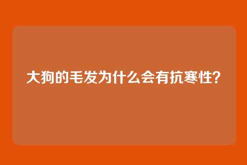 大狗的毛发为什么会有抗寒性？