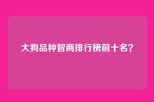 大狗品种智商排行榜前十名？