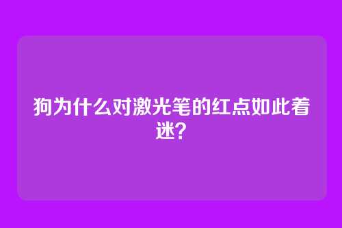 狗为什么对激光笔的红点如此着迷？