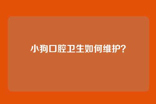 小狗口腔卫生如何维护？