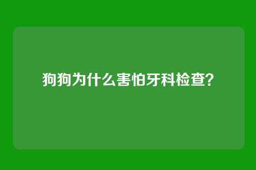 狗狗为什么害怕牙科检查？