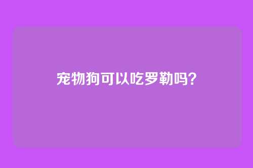 宠物狗可以吃罗勒吗？