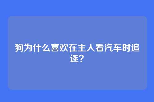 狗为什么喜欢在主人看汽车时追逐？