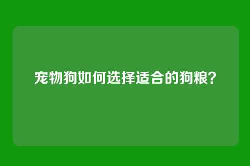 宠物狗如何选择适合的狗粮？