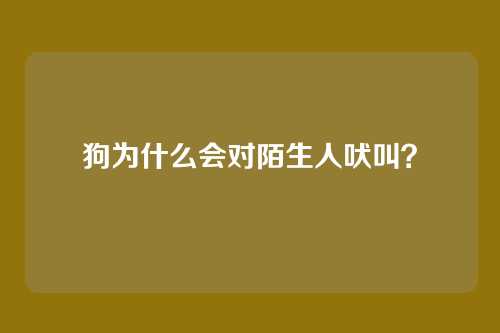 狗为什么会对陌生人吠叫？