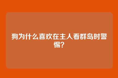 狗为什么喜欢在主人看群岛时警惕？