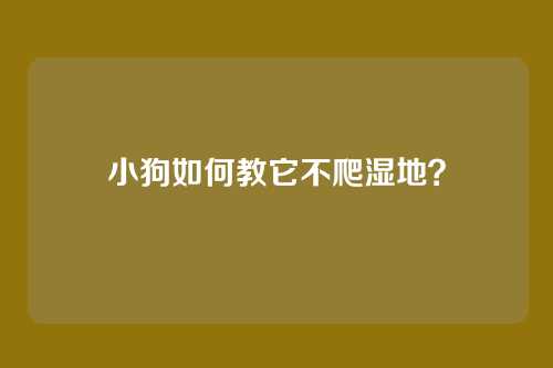 小狗如何教它不爬湿地？