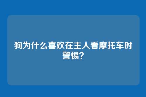 狗为什么喜欢在主人看摩托车时警惕？