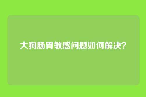 大狗肠胃敏感问题如何解决？