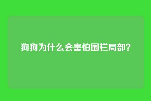 狗狗为什么会害怕围栏局部？