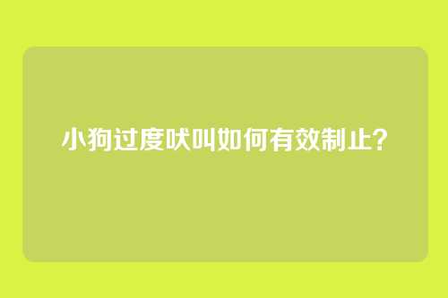 小狗过度吠叫如何有效制止？